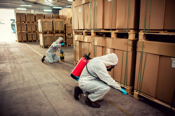Reliable Elkhorn, WI Pest Control Solutions