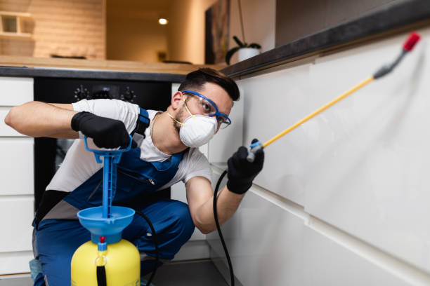 Pest Control Cost in Elkhorn, WI