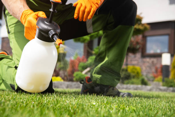 Best Exterminator Services  in Elkhorn, WI