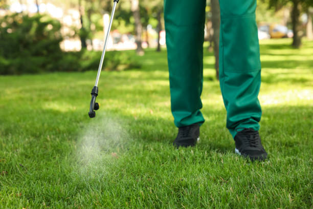 Best Ant Control Services  in Elkhorn, WI