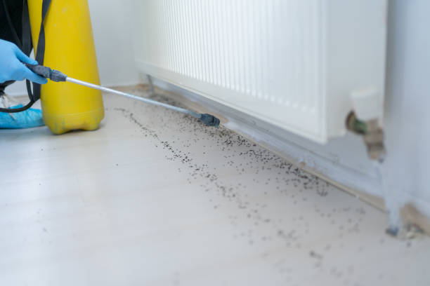 Best Commercial Pest Control Services  in Elkhorn, WI