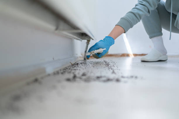 Best Exterminator Services  in Elkhorn, WI